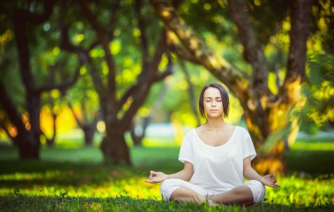 世界杯比分平台-瑞典队防守体系调整引发关注 赛事中心备战动态成焦点